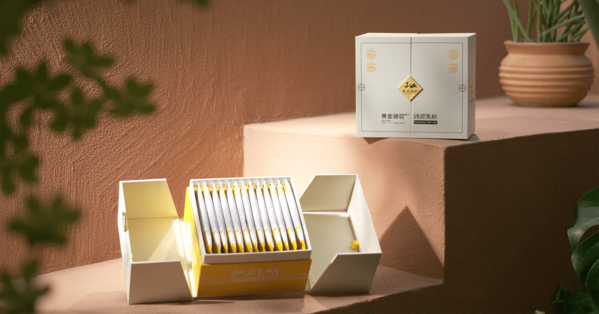 定位小众高端乳粉，jinnianhui今年会推出驼奶品牌“黄金骆驼+”，角逐乳品新市场！